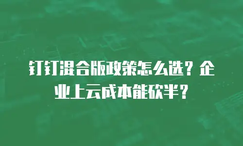 钉钉混合版政策怎么选？企业上云成本能砍半？