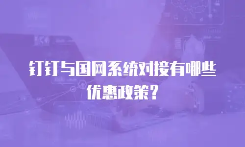 钉钉与国网系统对接有哪些优惠政策？