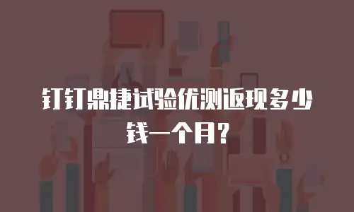 钉钉鼎捷试验优测返现多少钱一个月？