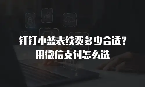 钉钉小蓝表续费多少合适？用微信支付怎么选