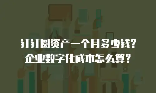 钉钉圆资产一个月多少钱？企业数字化成本怎么算？