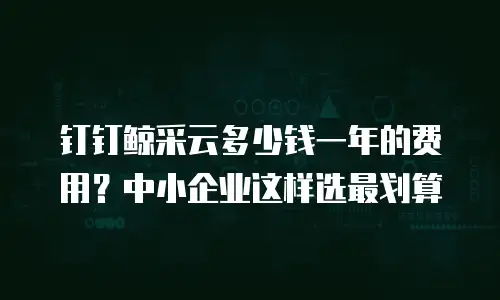 钉钉鲸采云多少钱一年的费用？中小企业这样选最划算