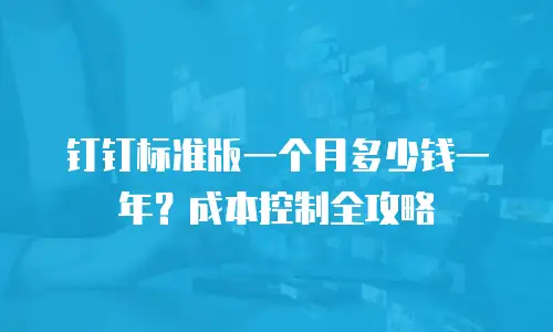 钉钉标准版一个月多少钱一年？成本控制全攻略