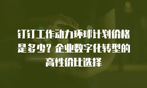 钉钉工作动力环球计划价格是多少？企业数字化转型的高性价比选择