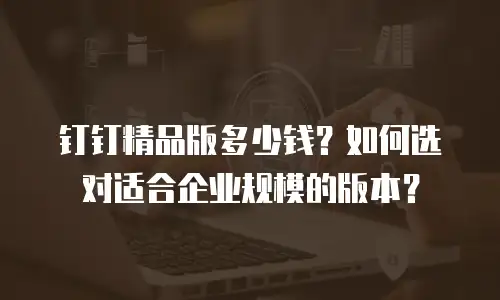 钉钉精品版多少钱？如何选对适合企业规模的版本？
