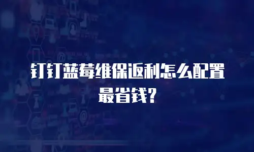 钉钉蓝莓维保返利怎么配置最省钱？
