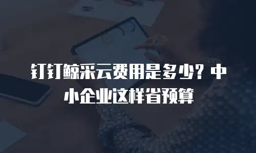 钉钉鲸采云费用是多少？中小企业这样省预算