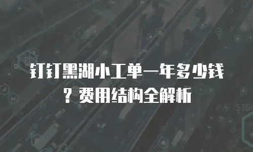 钉钉黑湖小工单一年多少钱？费用结构全解析