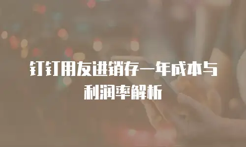 钉钉用友进销存一年成本与利润率解析