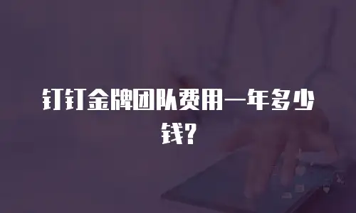 钉钉金牌团队费用一年多少钱？