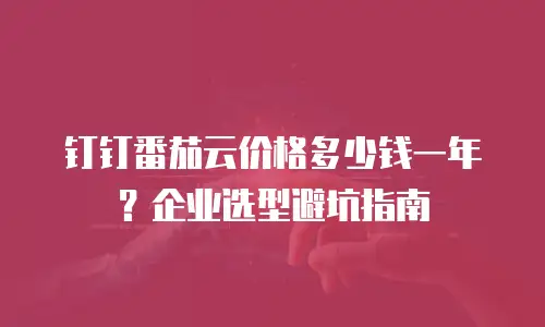 钉钉番茄云价格多少钱一年？企业选型避坑指南