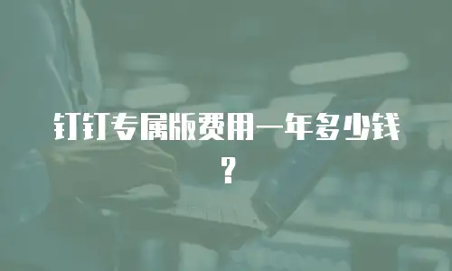钉钉专属版费用一年多少钱？