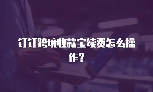 钉钉跨境收款宝续费怎么操作？