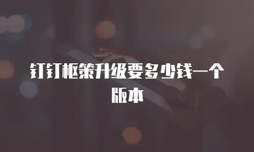 钉钉枢策升级要多少钱一个版本