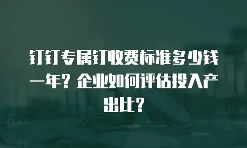 钉钉专属钉收费标准多少钱一年？企业如何评估投入产出比？