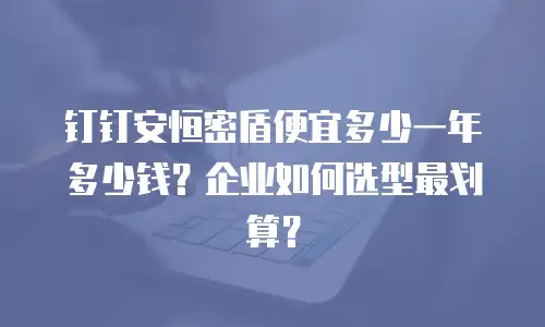 钉钉安恒密盾便宜多少一年多少钱？企业如何选型最划算？