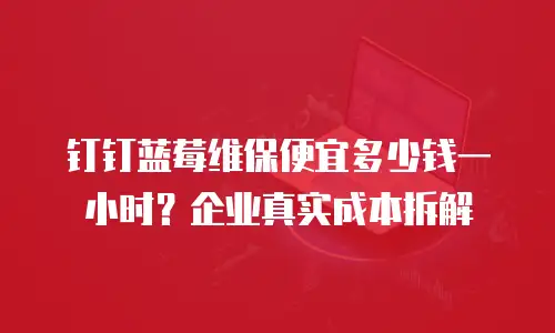 钉钉蓝莓维保便宜多少钱一小时？企业真实成本拆解