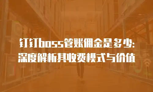 钉钉boss管账佣金是多少：深度解析其收费模式与价值