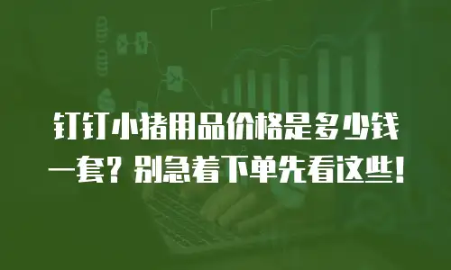 钉钉小猪用品价格是多少钱一套？别急着下单先看这些！