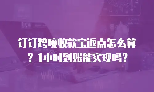 钉钉跨境收款宝返点怎么算？1小时到账能实现吗？