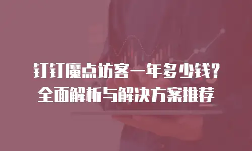 钉钉魔点访客一年多少钱？全面解析与解决方案推荐