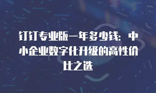 钉钉专业版一年多少钱：中小企业数字化升级的高性价比之选