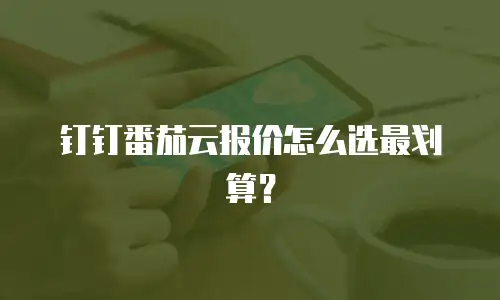 钉钉番茄云报价怎么选最划算？