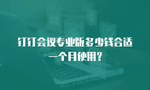 钉钉会议专业版多少钱合适一个月使用？