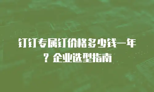钉钉专属钉价格多少钱一年？企业选型指南