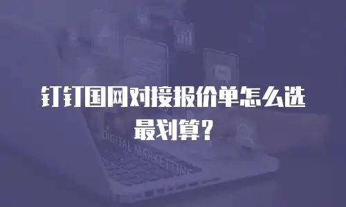 钉钉国网对接报价单怎么选最划算？
