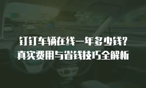 钉钉车辆在线一年多少钱？真实费用与省钱技巧全解析