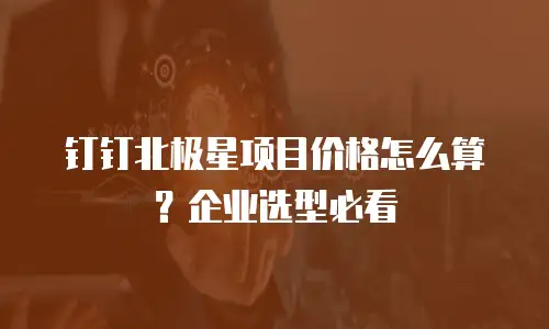 钉钉北极星项目价格怎么算？企业选型必看