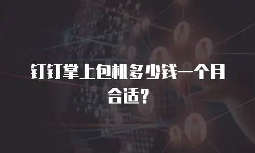 钉钉掌上包机多少钱一个月合适？