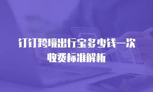 钉钉跨境出行宝多少钱一次收费标准解析