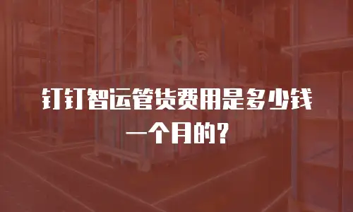 钉钉智运管货费用是多少钱一个月的？