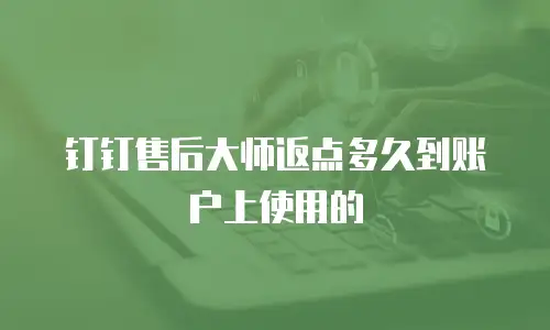 钉钉售后大师返点多久到账户上使用的
