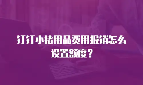 钉钉小猪用品费用报销怎么设置额度？