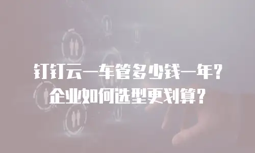 钉钉云一车管多少钱一年？企业如何选型更划算？
