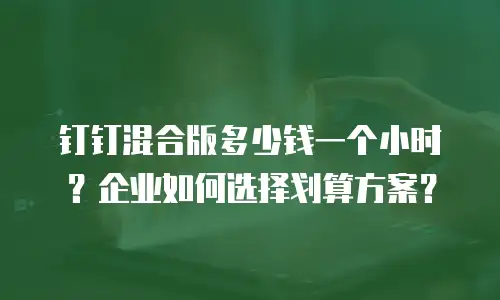 钉钉混合版多少钱一个小时？企业如何选择划算方案？