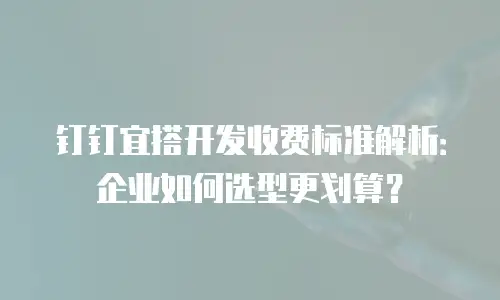 钉钉宜搭开发收费标准解析：企业如何选型更划算？