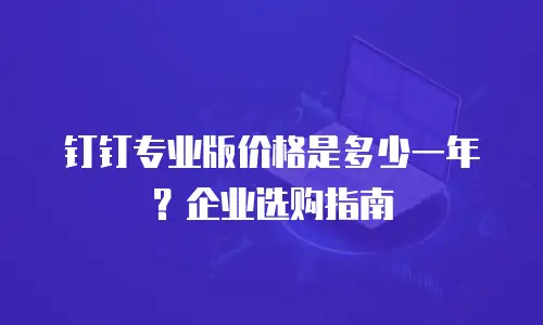 钉钉专业版价格是多少一年？企业选购指南