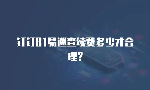 钉钉B1易巡查续费多少才合理？