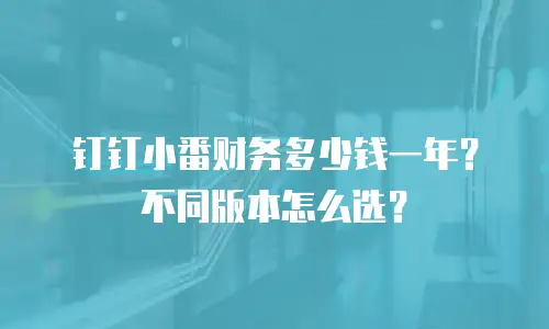 钉钉小番财务多少钱一年？不同版本怎么选？