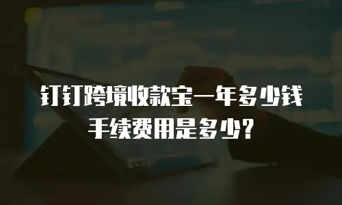 钉钉跨境收款宝一年多少钱手续费用是多少？