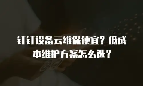 钉钉设备云维保便宜？低成本维护方案怎么选？