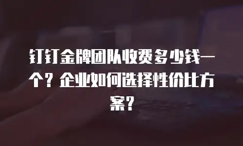 钉钉金牌团队收费多少钱一个？企业如何选择性价比方案？