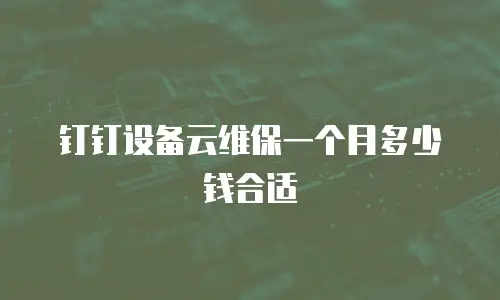 钉钉设备云维保一个月多少钱合适