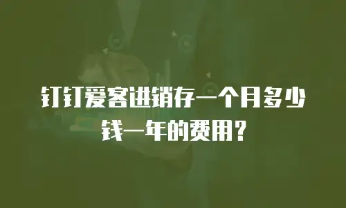 钉钉爱客进销存一个月多少钱一年的费用？