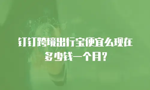 钉钉跨境出行宝便宜么现在多少钱一个月？