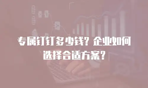 专属钉钉多少钱？企业如何选择合适方案？
